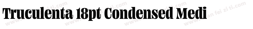 Truculenta 18pt Condensed Medium字体转换
